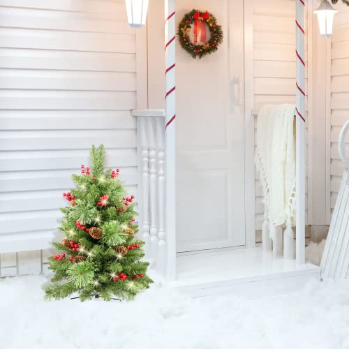 Homekaren 5M50LIGHTS Christmas Tree 30 Inch Prelit 2 Set Pathway Porch Christmas Trees Pre-Light Led Battery Operated Outdoor Xmas Decor thumb #3