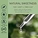 Lymphatic Drainage Drops for Lymph System Detox Cleanse, Lymphedema Support Supplement Formula Echinacea, Burdock Root, Calendula Flower, Use with Lymph Massage Tool. 2oz