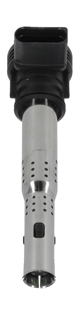 Champion Bobinas de encendido BAEA033E