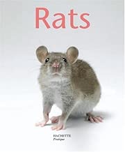 Download Rats PDF