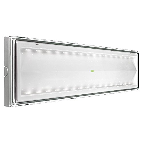 Beghelli BEG8584 Plafoniera Emergenza LED 18 W, Multicolore, vetro;policarbonato, acciaio