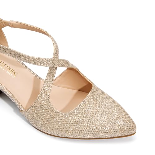 Image of DREAM PAIRS Women's Chunky Heels Dress Pumps Closed Pointed Toe Comfort Cross Strap Block Heel Shoes for Party Dance Wedding