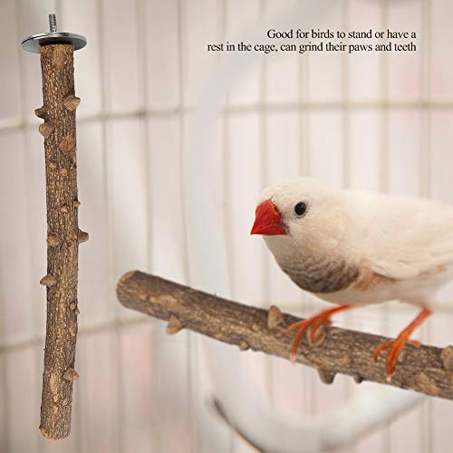 Prickly Ash Wood Perch Stand Bird Wooden Chew Bite Toy Bird Grinding Perch Cage Hanging Training Toy for Parakeets Budgies Cockatiels Conures(3×35cm) - Image 2