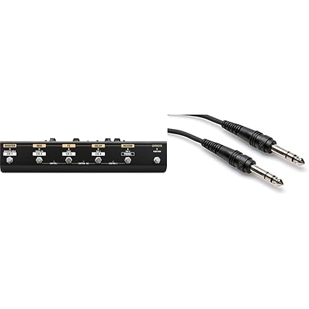 Amazon.com: Boss GA-FC EX Foot Controller for BOSS Katana Amplifiers ...