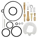 AUTOKAY 16155-GZ5-000 Carburetor Carb Rebuild Kit for Honda 1999-2006 TRX90 TRX 90