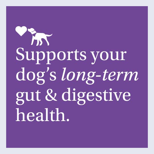 PetLab-Co-Allergy-Immune--Support-Your-Pup-with-Seasonal-Allergies-Intermittent-Itchiness-Healthy-Yeast-Production-Probiotic-Dog-Allergy-Chews-Available-in-Small-Medium-Large