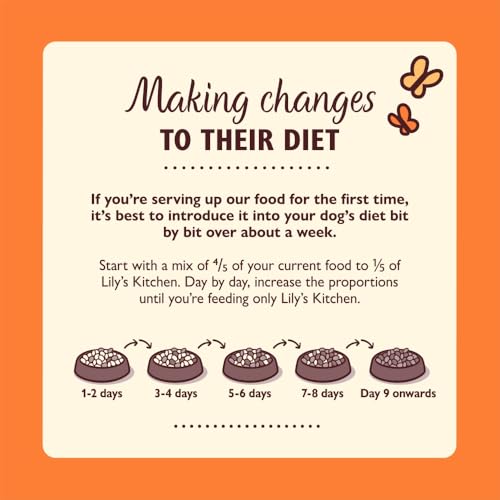 Lily's Kitchen Chicken & Duck (Complete Dry Dog Food), 1kg