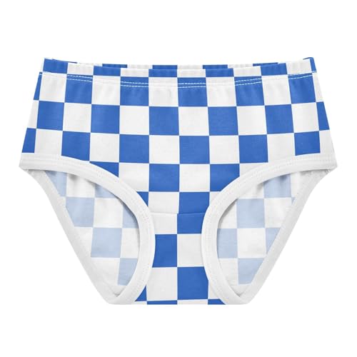 Blue and White Buffalo Checkered Toddler Girls's Underwear 2T