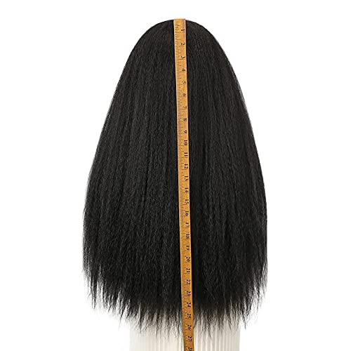 Wignee 26 Inches Kinky Straight Headband Wig For Women Yaki Straight Wigs With Black Headband Kinky Afro Wigs For Black Women thumb #6