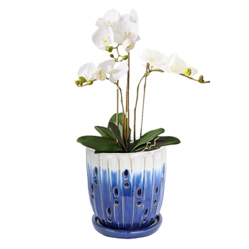 vensovo 6 Inch Ceramic Orchid Pot with Holes and Saucer, Blue Planter