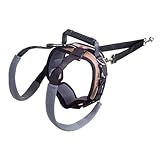 PetSafe CareLift Rear Support Harness - Senior & Disabled Dog Rear Mobility Support - Easy-Fitting, Breathable Belly Straps with Lifting Aid Handle & Shoulder Strap - for Medium Dogs 35-70 lb