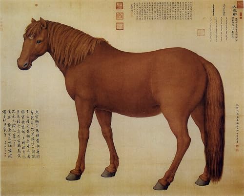 Cuadro en lienzo de Giuseppe Castiglione de 60x90cm: renueva tus paredes vacías con arte