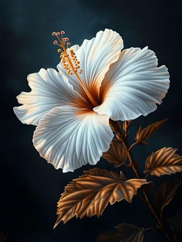 花 数字油絵 数字キット塗り絵 手塗り DIY絵 デジタル油絵 植物 パターンデザイン, ペイントバイナンバー 初心者向け 簡単 paint by numbers ブラシとアクリル絵の具が入, ホーム オフィス装飾 50X70cm, Model 182