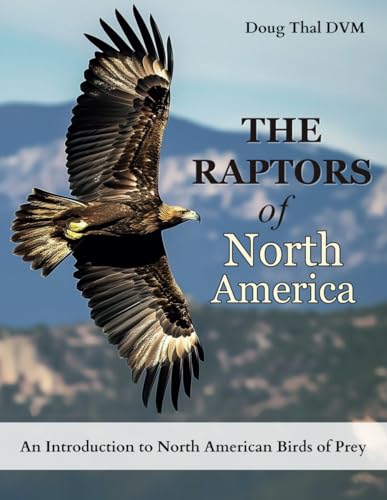 The Raptors of North America: An Introduction to North American Birds of Prey
