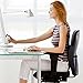 Vaunn Medical Seat Cushion, Lumbar Back Support Pillow for Office Chair with Removable Firm Insert