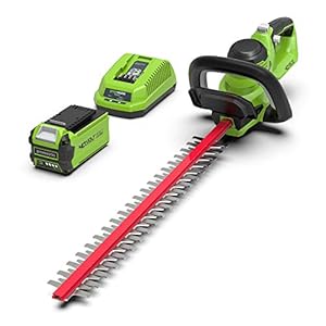 Greenworks G40HT61K2 Akku Heckenschere, 61 cm Doppelklingen, schneidet bis zu 27 mm dicke Äste und Stämme, 3000 Schnitte pro Minute, 40V 2Ah Akku & Ladegerät, 3 Jahre Garantie