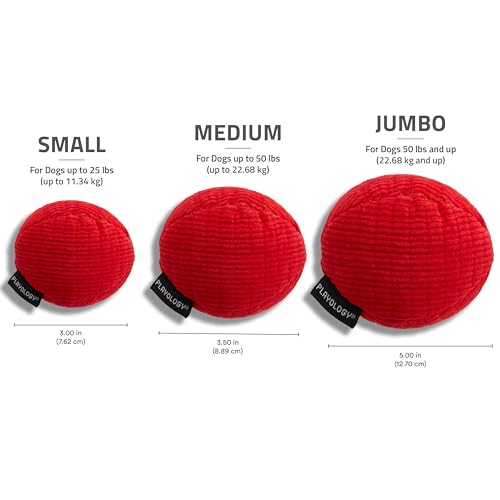 Playology Juguete Mordible de Peluche con Sonido para Perro miniatura 7