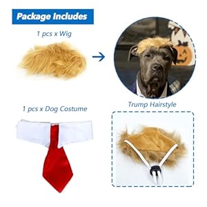 Trump-Style-Pet-Costume-Dog-Wig-Dog-Clothes-with-Collar-Tie-Head-Wear-Apparel-Toy-for-Halloween-Christmas-Parties-Festivals-Brown-with-Tie - Cucciolini Doodles   Trump-Style-Pet-Costume-Dog-Wig-Dog-Clothes-with-Collar-Tie-Head-Wear-Apparel-Toy-for-Halloween-Christmas-Parties-Festivals-Brown-with-Tie