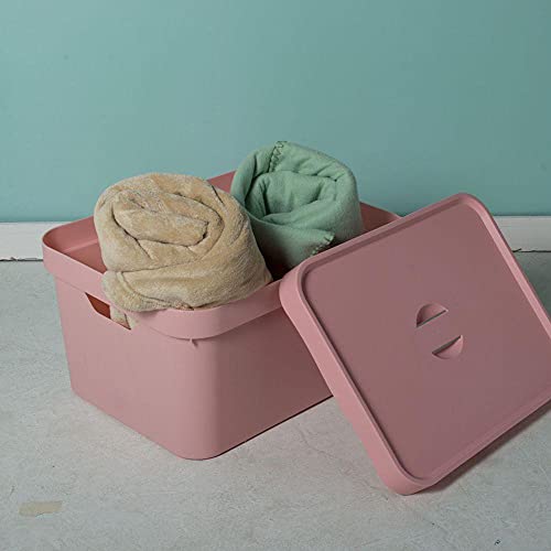 OU CC 650 RSQF Caixa Organizadora com Tampa, Rosa (Quartzo), Grande/Alta, 1 Unidade