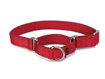 イヌパシー 首輪 Sサイズ レッド イヌパシー 首輪 Sサイズ レッド 先行予約販売スタート！】愛犬