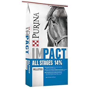 Purina | Impact All Stages 14 Pelleted Horse Feed | 50 Pound ( 50 LB) Bag