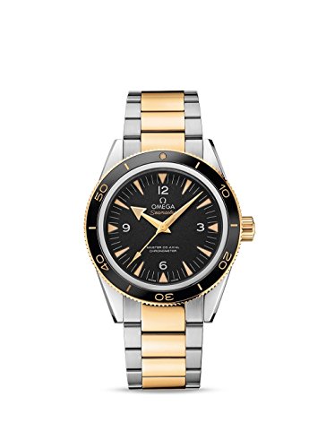 Omega Seamaster 233.20.41.21.01.002