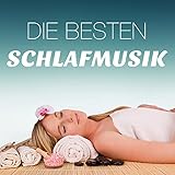 Crickets Chirping at Night