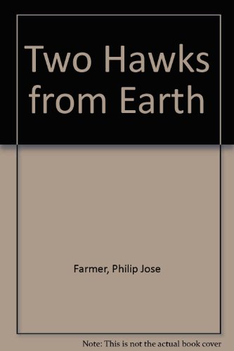 Two Hawks From Earth view 2