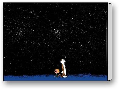 Calvin and Hobbes Custom Canvas Print 20"x16"