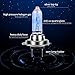 NEWBROWN H7 Headlight Bulb Halogen Headlight Bulb 5000K Super White Light Long Life Replacement PX26D 12V/55W (H7, 2 Pack)