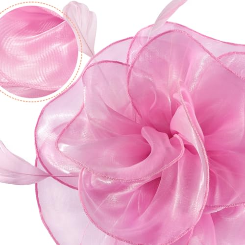 Image of DRESHOW Fascinators Hat Tea Party Headwear Ribbons Feathers on a Headband and a Clip for Women