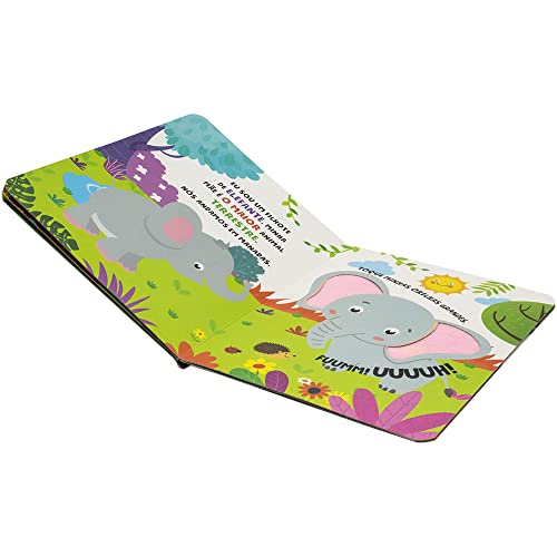 Combo com 4 Livros Toque e Sinta II