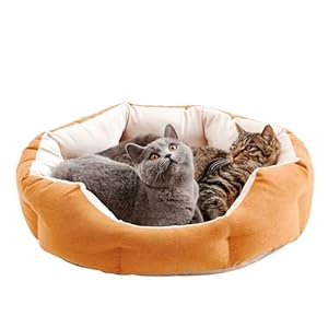 Made4Pets Cat Beds for Indoor Cats – Dog Beds for Small Dogs, Round Pet Bed for Puppy and Kitten, Washable Dog Bed with Anti-Slip Bottom, Removable Dual-Fabric Cushion for All Season, Orange
