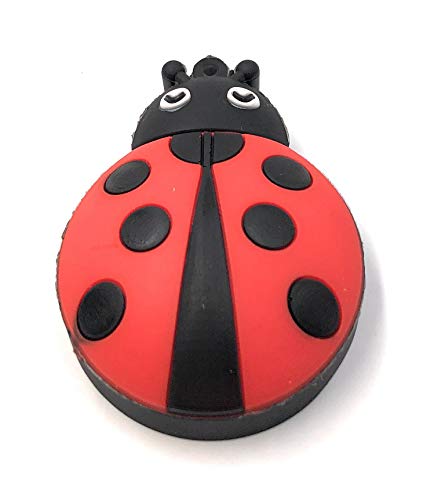 Clé USB 64 Go haute vitesse pour résoudre le manque de place avec une coccinelle amusante