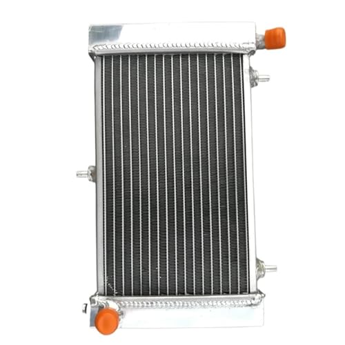 Radiateur moto Aprilia RS125 anti surchauffe pour modèles 1995 à 2010