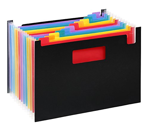 Viquel Seat Case Trieur 12 positions en polypropylène Rainbow Class