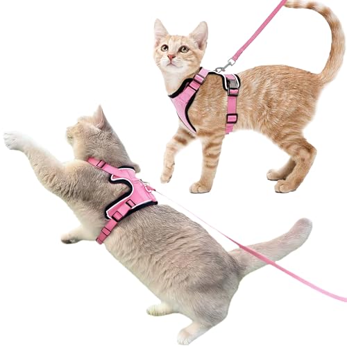 Luxelle 2pbN Eoh~ Lpn[lXƃ[VZbg EH[LOp ? ߉\Ȉh~\tgxXg ₷obNA˃XgbvAʋCbV ? LƎqLp̃AEghAgxn[lX