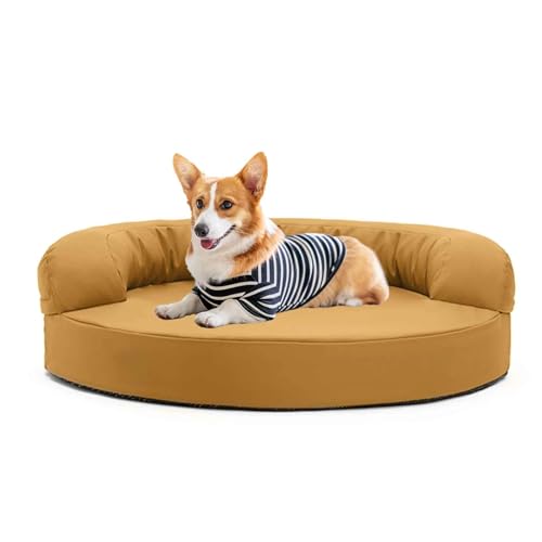 JUNENTER hpxbh p\t@xbh Lpxbh O\Ő􂦂Jo[Ɗ~ߒt ^Lƌp CG[ S