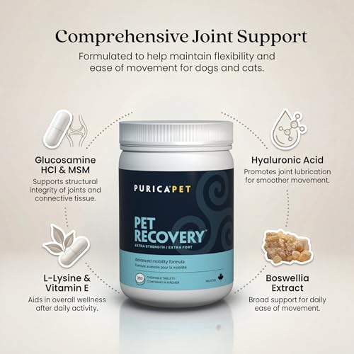 Image of PURICA Pet Recovery Extra Strength, 360 Chewable Tablets - Advanced Hip & Joint Supplement for Dogs & Cats with Glucosamine HCl, MSM, L-Lysine, Boswellia & Vitamin E - Supports Mobility & Senior Pets