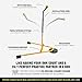BILLIE JEAN KING'S Eye Coach Family Tennis Simulator, Tennis Training Aid, Works in As Little As 10 Sq Ft, Adjustable 28