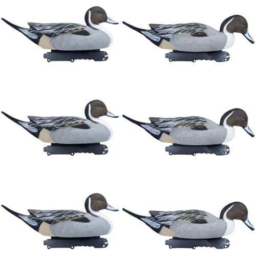 Final Approach Live Fully Flocked Pintails, Decoy 6 Pack