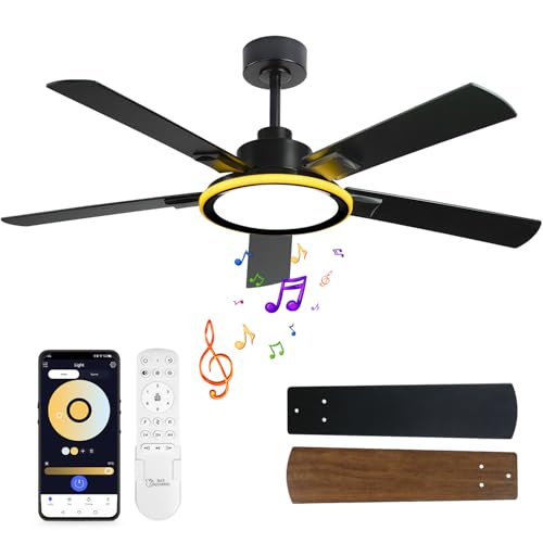 BAYSQUIRREL Smart 52