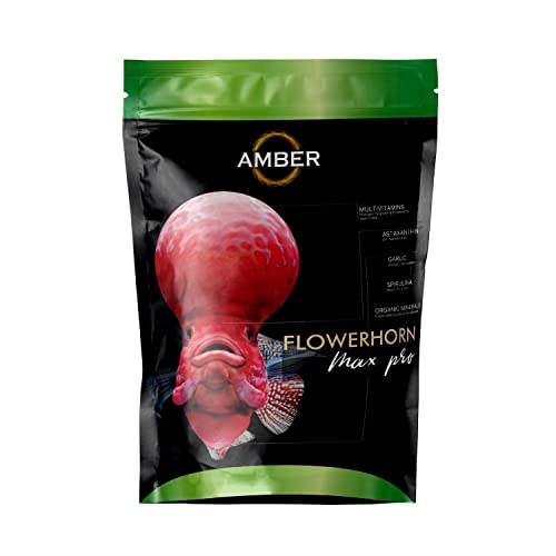 Amber Max Pro Flowerhorn Food (Medium, 100 gram)