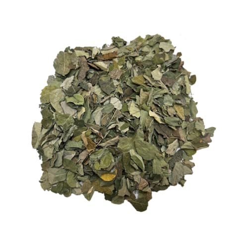 _˃A[eB[ K [t 100g Moringa Dry Leaf  t hCn[u h Ɩp
