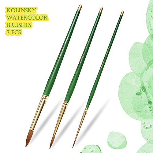 Dainayw DN3DMHB Kolinsky Watercolor Brushes thumb #2