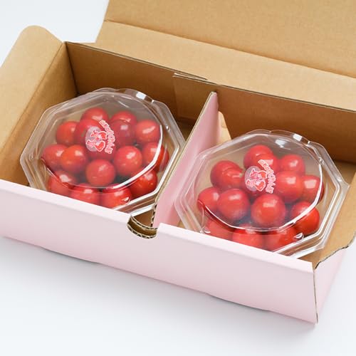 [山形県村山市]先行予約 加温 さくらんぼ 佐藤錦 特秀Lサイズ プレゼント ギフト ダイヤパック 200g(100g×2) 2026年産 令和8年産 山形県産 [5月上旬〜5月下旬頃発送] ns-sntdp200