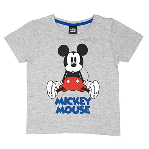 Disney Mickey Mouse T-Shirt Garçon Haut Enfant Manches Courtes Gris, gris, 98 cm-104 cm