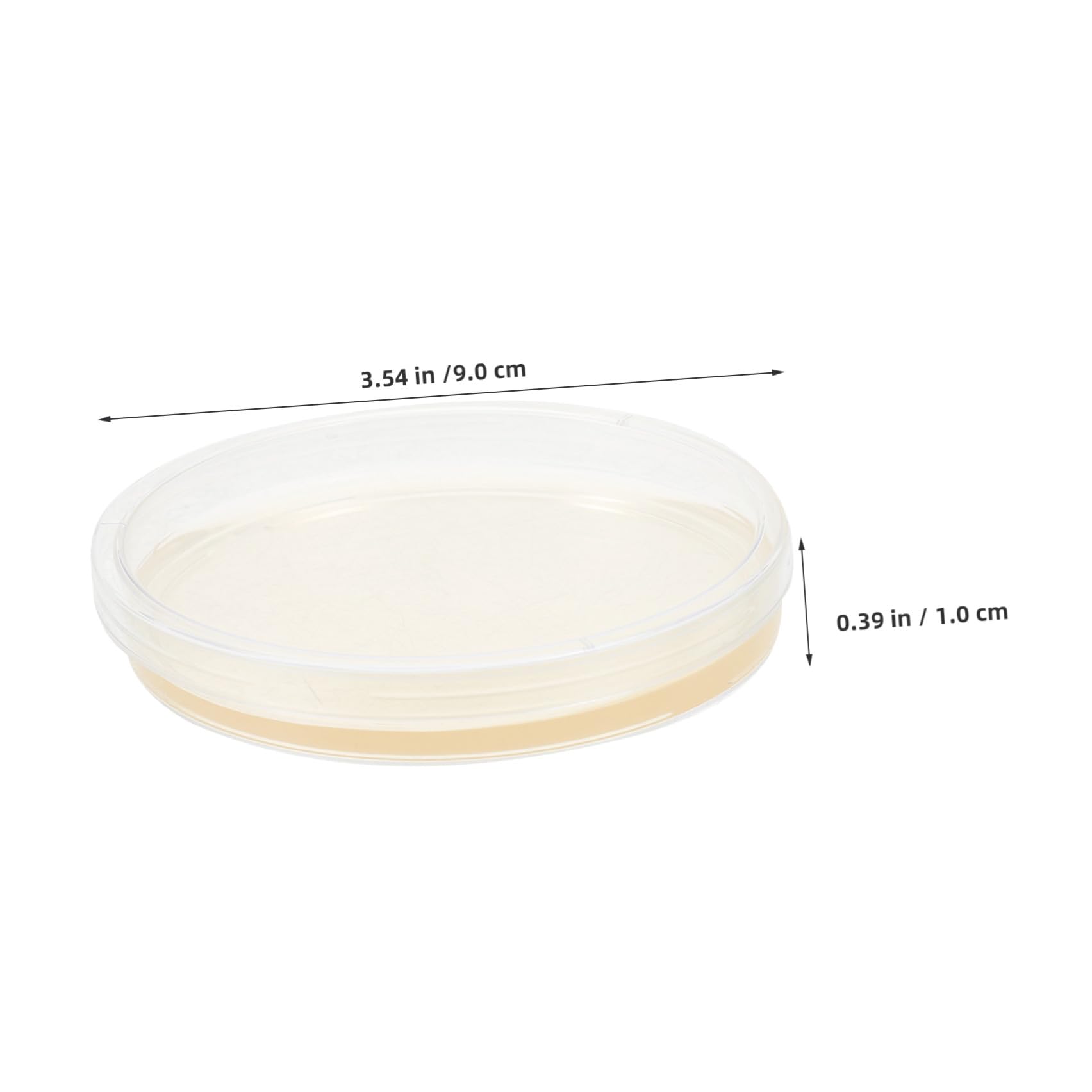 MAGICLULU Piastre di Petri Agar Nutriente Preversate 20 Pezzi Piatto Rotondo in Ps per Esperimenti Scientifici e Coltivazione Microbica in Laboratorio