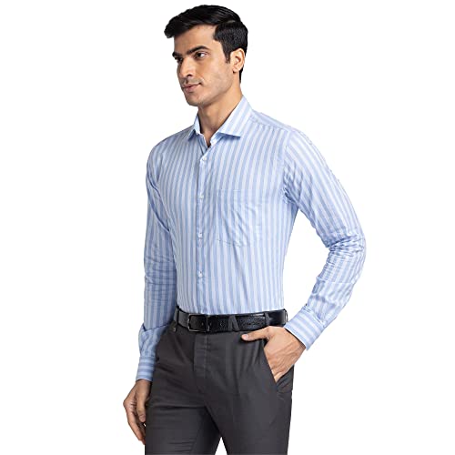 Image of Park Avenue Men's Pure Cotton Stripe Pattern Slim Fit Ainsley Collar Full Sleeve Formal Shirt
