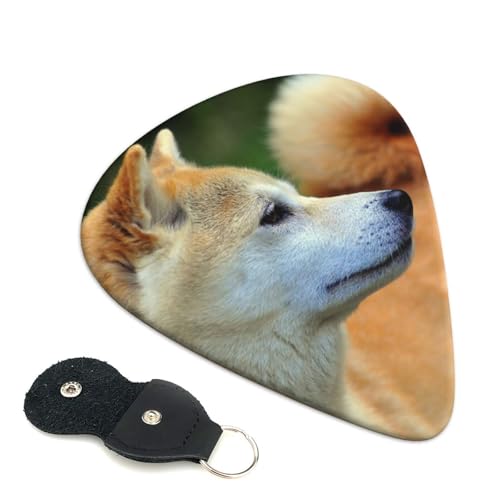 秋田犬 ボケ ペット 犬 秋田犬 エレキギター ベース用ピック ウクレレ ギター 弦楽器 アニメ ファッション 音楽愛好家 初心者 トライアングル ピック 6枚セット 0.71mm